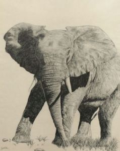 Voir le détail de cette oeuvre: la grace de l'elephant